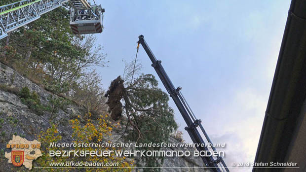 20181024 Sturmtief "Siglinde" über Baden Stadtteil Weikersdorf  Foto: © Stefan Schneider FF Baden-Stadt