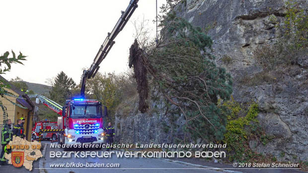 20181024 Sturmtief "Siglinde" über Baden Stadtteil Weikersdorf  Foto: © Stefan Schneider FF Baden-Stadt