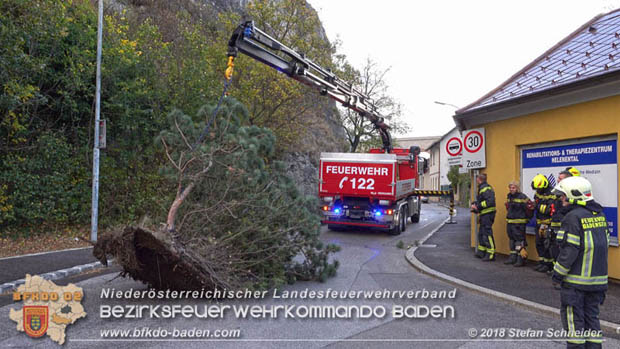 20181024 Sturmtief "Siglinde" über Baden Stadtteil Weikersdorf  Foto: © Stefan Schneider FF Baden-Stadt