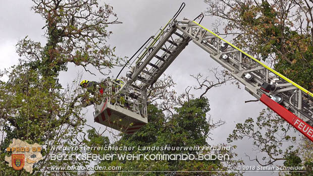 20181024 Sturmtief "Siglinde" über Baden Stadtteil Weikersdorf  Foto: © Stefan Schneider FF Baden-Stadt