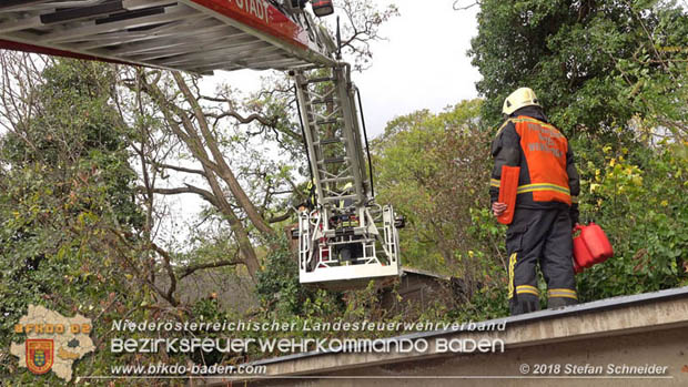 20181024 Sturmtief "Siglinde" über Baden Stadtteil Weikersdorf  Foto: © Stefan Schneider FF Baden-Stadt