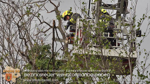 20181024 Sturmtief "Siglinde" über Baden Stadtteil Weikersdorf  Foto: © Stefan Schneider FF Baden-Stadt
