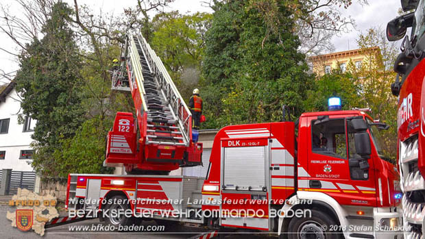 20181024 Sturmtief "Siglinde" über Baden Stadtteil Weikersdorf  Foto: © Stefan Schneider FF Baden-Stadt