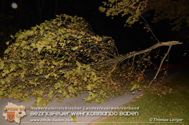 20181024 Sturmtief "Siglinde" über Oberwaltersdorf  Foto: © Thomas Lenger