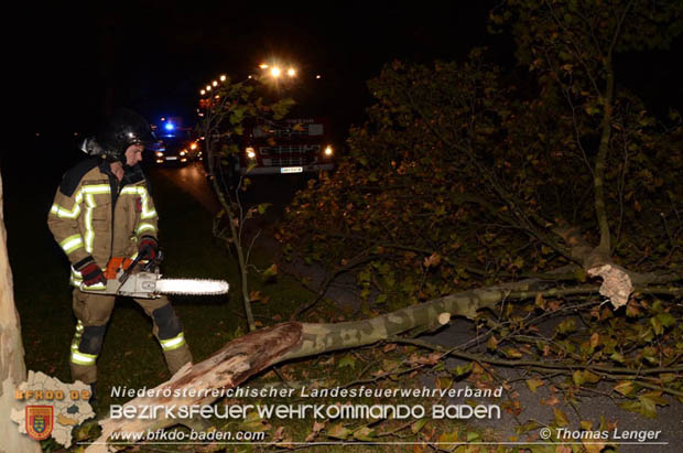 20181024 Sturmtief "Siglinde" über Oberwaltersdorf  Foto: © Thomas Lenger