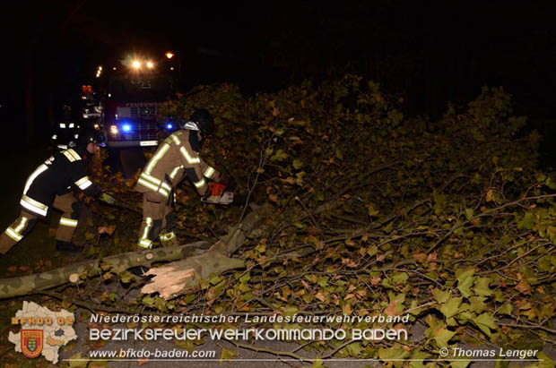 20181024 Sturmtief "Siglinde" über Oberwaltersdorf  Foto: © Thomas Lenger