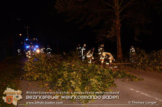 20181024 Sturmtief "Siglinde" über Oberwaltersdorf  Foto: © Thomas Lenger
