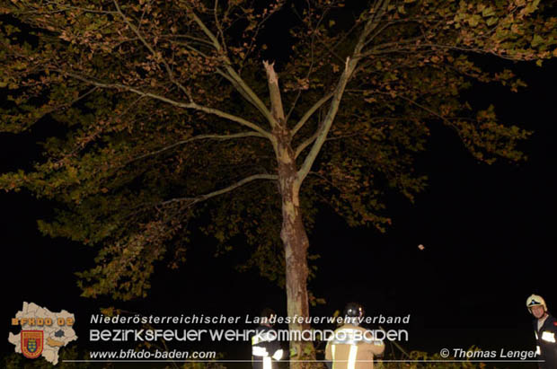 20181024 Sturmtief "Siglinde" über Oberwaltersdorf  Foto: © Thomas Lenger
