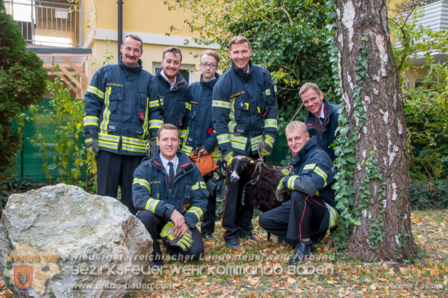 20181101 Tierrettung Bad Vöslau Foto: Daniel Wirth