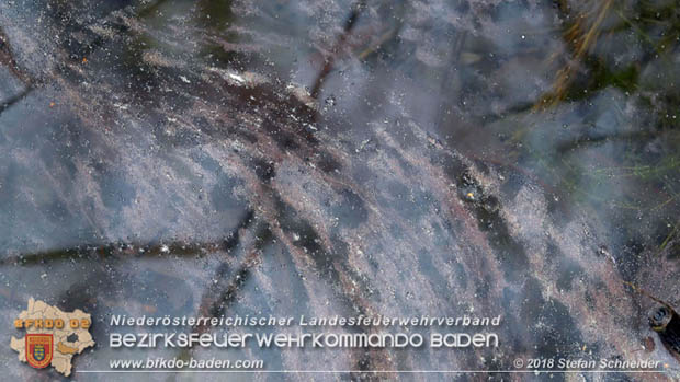 20181120 Kleiner Gewässerschaden auf Teich in der Eigenheimsiedlung Möllersdorf/Guntramsdorf Foto: © Stefan Schneider BFK BADEN 20181120 Kleiner Gewässerschaden auf Teich in der Eigenheimsiedlung Möllersdorf/Guntramsdorf Foto: © Stefan Schneider BFK BADEN
