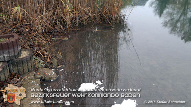 20181120 Kleiner Gewässerschaden auf Teich in der Eigenheimsiedlung Möllersdorf/Guntramsdorf Foto: © Stefan Schneider BFK BADEN 20181120 Kleiner Gewässerschaden auf Teich in der Eigenheimsiedlung Möllersdorf/Guntramsdorf Foto: © Stefan Schneider BFK BADEN