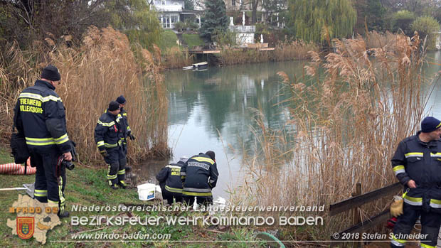 20181120 Kleiner Gewässerschaden auf Teich in der Eigenheimsiedlung Möllersdorf/Guntramsdorf Foto: © Stefan Schneider BFK BADEN 20181120 Kleiner Gewässerschaden auf Teich in der Eigenheimsiedlung Möllersdorf/Guntramsdorf Foto: © Stefan Schneider BFK BADEN