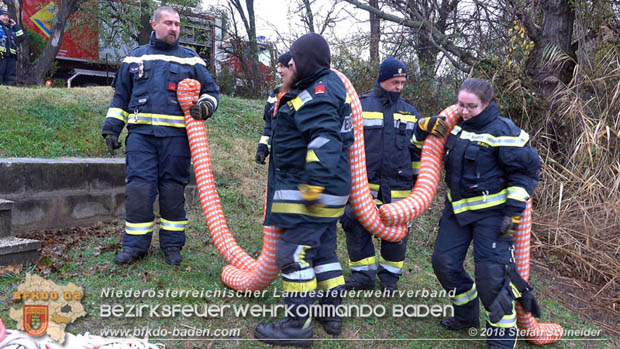20181120 Kleiner Gewässerschaden auf Teich in der Eigenheimsiedlung Möllersdorf/Guntramsdorf Foto: © Stefan Schneider BFK BADEN 20181120 Kleiner Gewässerschaden auf Teich in der Eigenheimsiedlung Möllersdorf/Guntramsdorf Foto: © Stefan Schneider BFK BADEN