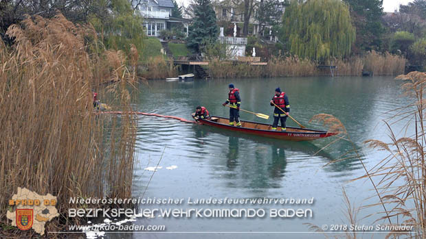 20181120 Kleiner Gewässerschaden auf Teich in der Eigenheimsiedlung Möllersdorf/Guntramsdorf Foto: © Stefan Schneider BFK BADEN 20181120 Kleiner Gewässerschaden auf Teich in der Eigenheimsiedlung Möllersdorf/Guntramsdorf Foto: © Stefan Schneider BFK BADEN