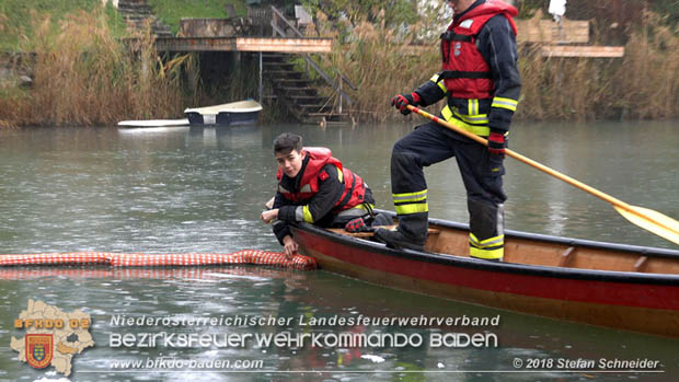 20181120 Kleiner Gewässerschaden auf Teich in der Eigenheimsiedlung Möllersdorf/Guntramsdorf Foto: © Stefan Schneider BFK BADEN 20181120 Kleiner Gewässerschaden auf Teich in der Eigenheimsiedlung Möllersdorf/Guntramsdorf Foto: © Stefan Schneider BFK BADEN
