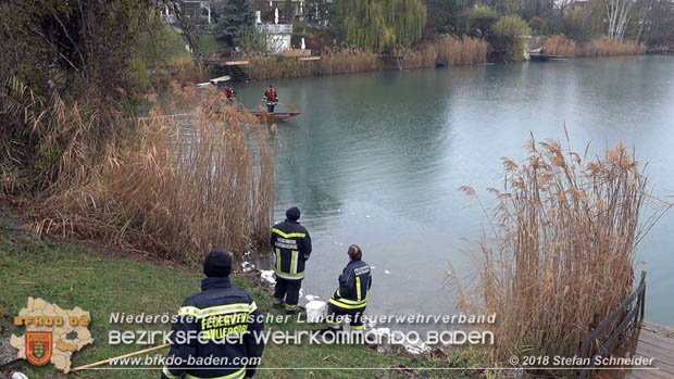 20181120 Kleiner Gewässerschaden auf Teich in der Eigenheimsiedlung Möllersdorf/Guntramsdorf Foto: © Stefan Schneider BFK BADEN 20181120 Kleiner Gewässerschaden auf Teich in der Eigenheimsiedlung Möllersdorf/Guntramsdorf Foto: © Stefan Schneider BFK BADEN