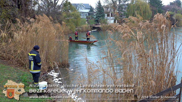 20181120 Kleiner Gewässerschaden auf Teich in der Eigenheimsiedlung Möllersdorf/Guntramsdorf Foto: © Stefan Schneider BFK BADEN 20181120 Kleiner Gewässerschaden auf Teich in der Eigenheimsiedlung Möllersdorf/Guntramsdorf Foto: © Stefan Schneider BFK BADEN