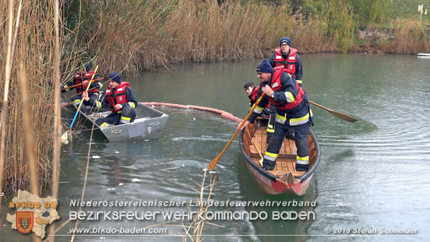 20181120 Kleiner Gewässerschaden auf Teich in der Eigenheimsiedlung Möllersdorf/Guntramsdorf Foto: © Stefan Schneider BFK BADEN 20181120 Kleiner Gewässerschaden auf Teich in der Eigenheimsiedlung Möllersdorf/Guntramsdorf Foto: © Stefan Schneider BFK BADEN