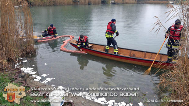 20181120 Kleiner Gewässerschaden auf Teich in der Eigenheimsiedlung Möllersdorf/Guntramsdorf Foto: © Stefan Schneider BFK BADEN 20181120 Kleiner Gewässerschaden auf Teich in der Eigenheimsiedlung Möllersdorf/Guntramsdorf Foto: © Stefan Schneider BFK BADEN