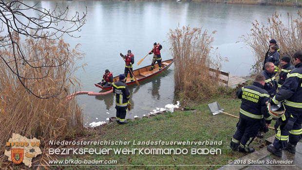 20181120 Kleiner Gewässerschaden auf Teich in der Eigenheimsiedlung Möllersdorf/Guntramsdorf Foto: © Stefan Schneider BFK BADEN 20181120 Kleiner Gewässerschaden auf Teich in der Eigenheimsiedlung Möllersdorf/Guntramsdorf Foto: © Stefan Schneider BFK BADEN
