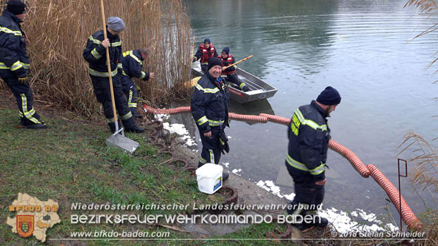 20181120 Kleiner Gewässerschaden auf Teich in der Eigenheimsiedlung Möllersdorf/Guntramsdorf Foto: © Stefan Schneider BFK BADEN 20181120 Kleiner Gewässerschaden auf Teich in der Eigenheimsiedlung Möllersdorf/Guntramsdorf Foto: © Stefan Schneider BFK BADEN