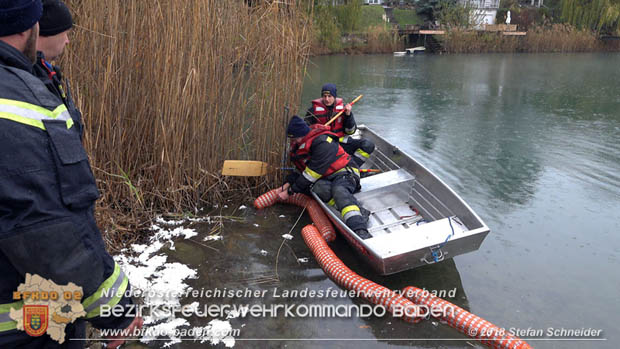 20181120 Kleiner Gewässerschaden auf Teich in der Eigenheimsiedlung Möllersdorf/Guntramsdorf Foto: © Stefan Schneider BFK BADEN 20181120 Kleiner Gewässerschaden auf Teich in der Eigenheimsiedlung Möllersdorf/Guntramsdorf Foto: © Stefan Schneider BFK BADEN