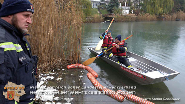 20181120 Kleiner Gewässerschaden auf Teich in der Eigenheimsiedlung Möllersdorf/Guntramsdorf  Foto: © Stefan Schneider BFK BADEN
