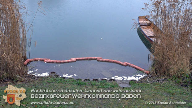 20181120 Kleiner Gewässerschaden auf Teich in der Eigenheimsiedlung Möllersdorf/Guntramsdorf Foto: © Stefan Schneider BFK BADEN 20181120 Kleiner Gewässerschaden auf Teich in der Eigenheimsiedlung Möllersdorf/Guntramsdorf Foto: © Stefan Schneider BFK BADEN