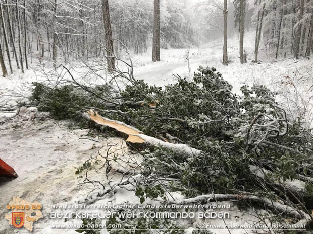 20181212 Baum über Güterweg Maria Raisenmarkt in Richtung Zoblhof  Foto: © FF Maria Raisenmarkt