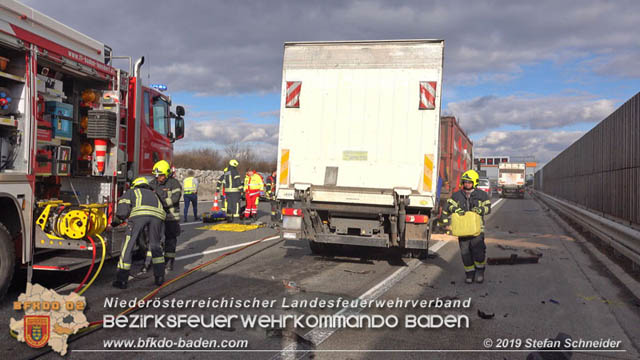 20190129 VU A2 RFB Wien zwischen Baden und Traiskirchen Foto: © Stefan Schneider 20190129 VU A2 RFB Wien zwischen Baden und Traiskirchen Foto: © Stefan Schneider
