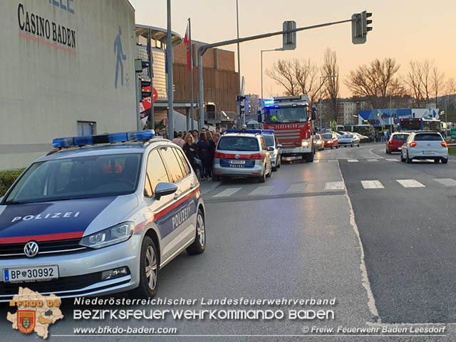 20190330 Verirrter Biber in Baden sorgt für Ausehen  Foto: Stefan Wagner FF Baden-Leesdorf