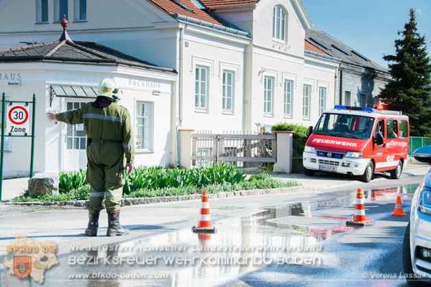 20190422 Kellerbrand Bad Vöslau - Foto: Verena Lassak und Daniel Wirth