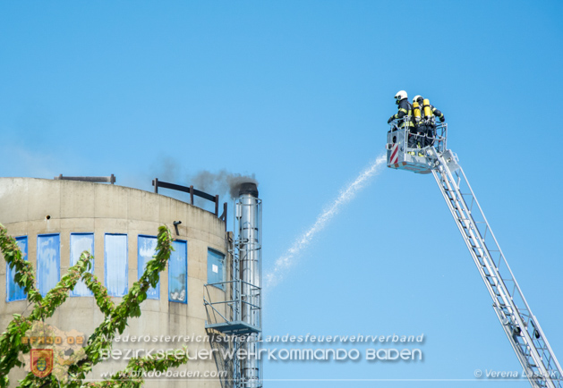 20190424 Silobrand Sooss - Foto: Stefan Schneider, Verena Lassak, Daniel Wirth, FFBV