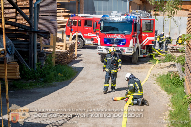 20190424 Silobrand Sooss - Foto: Stefan Schneider, Verena Lassak, Daniel Wirth, FFBV