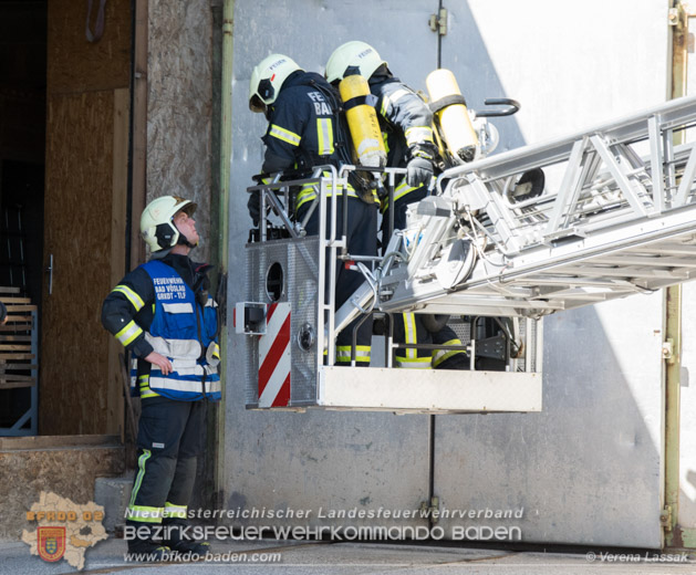 20190424 Silobrand Sooss - Foto: Stefan Schneider, Verena Lassak, Daniel Wirth, FFBV