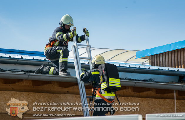 20190424 Silobrand Sooss - Foto: Stefan Schneider, Verena Lassak, Daniel Wirth, FFBV