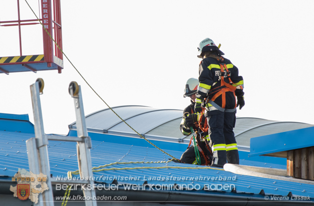 20190424 Silobrand Sooss - Foto: Stefan Schneider, Verena Lassak, Daniel Wirth, FFBV