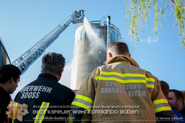 20190424 Silobrand Sooss - Foto: Stefan Schneider, Verena Lassak, Daniel Wirth, FFBV
