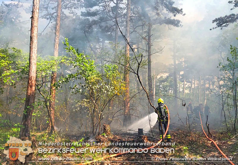 20190428 Waldbrand in Baden Ortsteil Weikersdorf Foto: © FF Baden Weikersdorf 20190428 Waldbrand in Baden Ortsteil Weikersdorf Foto: © FF Baden Weikersdorf