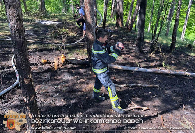 20190428 Waldbrand in Baden Ortsteil Weikersdorf Foto: © FF Baden Weikersdorf 20190428 Waldbrand in Baden Ortsteil Weikersdorf Foto: © FF Baden Weikersdorf