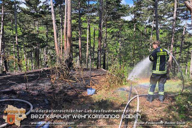 20190428 Waldbrand in Baden Ortsteil Weikersdorf Foto: © FF Baden-Stadt Roman Van de Castell 20190428 Waldbrand in Baden Ortsteil Weikersdorf Foto: © FF Baden-Stadt Roman Van de Castell