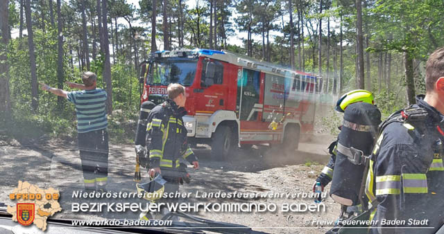 20190428 Waldbrand in Baden Ortsteil Weikersdorf Foto: © FF Baden-Stadt Roman Wöhrer 20190428 Waldbrand in Baden Ortsteil Weikersdorf Foto: © FF Baden-Stadt Roman Wöhrer