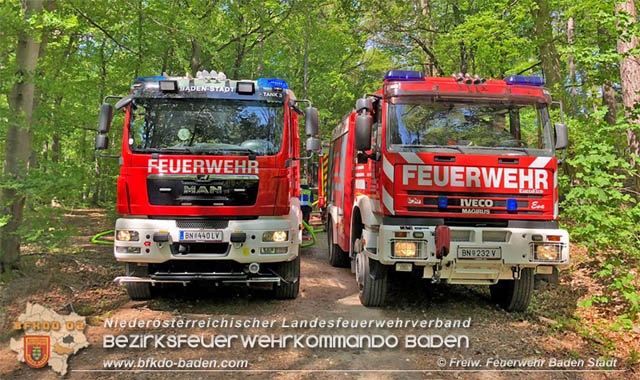 20190428 Waldbrand in Baden Ortsteil Weikersdorf Foto: © FF Baden-Stadt Thomas Hanai 20190428 Waldbrand in Baden Ortsteil Weikersdorf Foto: © FF Baden-Stadt Thomas Hanai