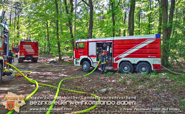 20190428 Waldbrand in Baden Ortsteil Weikersdorf Foto: © Freiw. Feuerwehr Stadt Bad Vöslau 20190428 Waldbrand in Baden Ortsteil Weikersdorf Foto: © Freiw. Feuerwehr Stadt Bad Vöslau