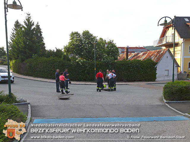 20190601 Tierrettung in Berndorf  Foto: © Florian Stadler FF Berndorf-Stadt