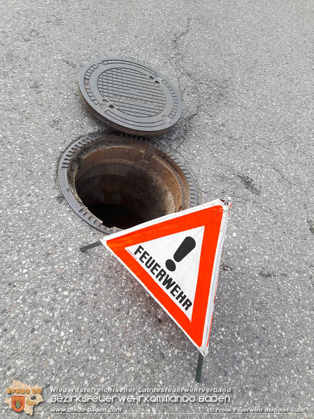 20190601 Tierrettung in Berndorf  Foto: © Florian Stadler FF Berndorf-Stadt