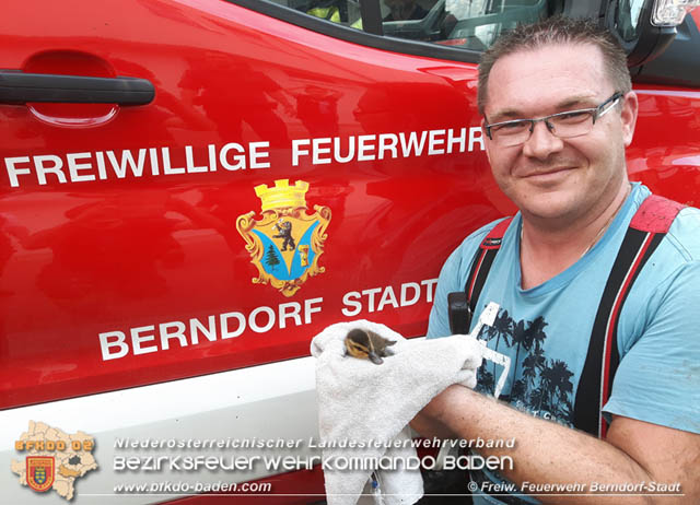 20190601 Tierrettung in Berndorf  Foto: © Florian Stadler FF Berndorf-Stadt