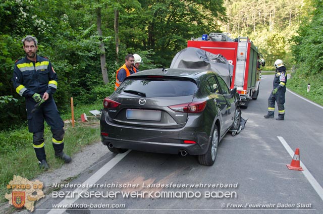 20190630 Verkehrsunfall mit mehreren Verletzten auf der LB210 im Helenental Fotos: © FF Baden-Stadt Martin Grassl u. Martin Lichtenauer 20190630 Verkehrsunfall mit mehreren Verletzten auf der LB210 im Helenental Fotos: © FF Baden-Stadt Martin Grassl u. Martin Lichtenauer