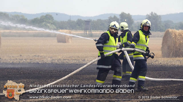 20190705 Abgeerntetes Feld sowie mehrere Rund-Stroballen bei Weigelsdorf abgebrannt Foto: © Stefan Schneider BFK Baden 20190705 Abgeerntetes Feld sowie mehrere Rund-Stroballen bei Weigelsdorf abgebrannt Foto: © Stefan Schneider BFK Baden