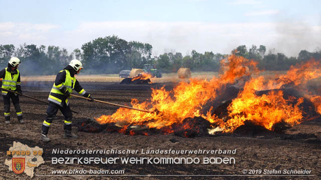 20190705 Abgeerntetes Feld sowie mehrere Rund-Stroballen bei Weigelsdorf abgebrannt Foto: © Stefan Schneider BFK Baden 20190705 Abgeerntetes Feld sowie mehrere Rund-Stroballen bei Weigelsdorf abgebrannt Foto: © Stefan Schneider BFK Baden